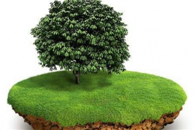 В Украине планируют ограничить продажу и аренду земли