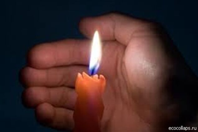 В Евпатории кошка обесточила треть города и погибла