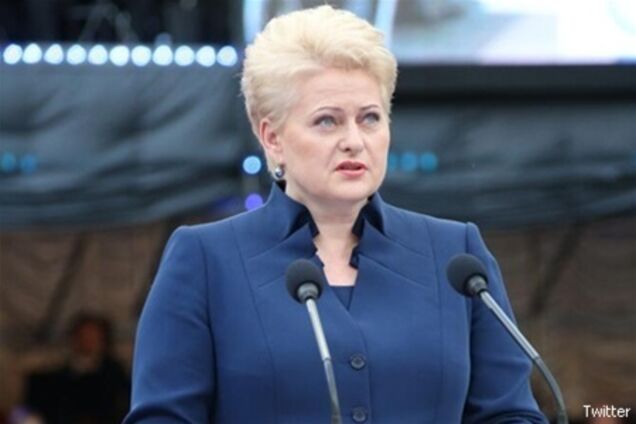 Президент Литвы обсудила с Януковичем 'домашнее задание' Украины