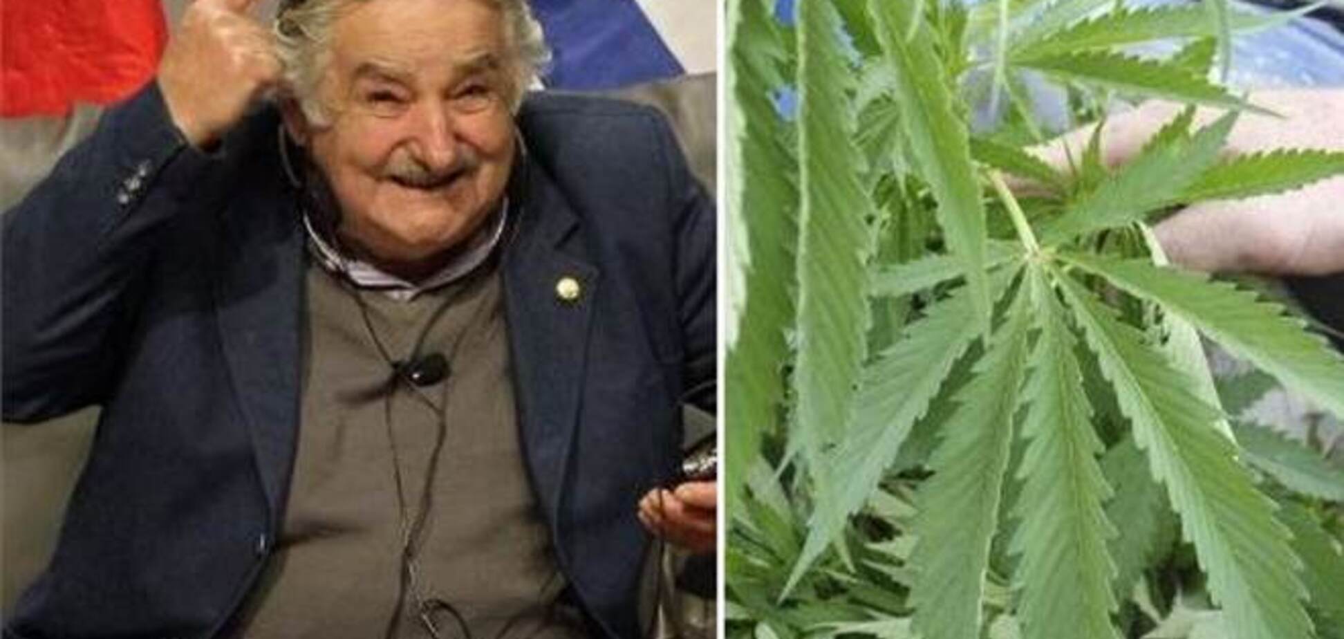 Парламент Уругвая легализировал марихуану