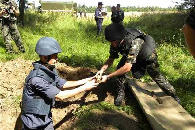  В Черниговской области уничтожили 11 артснарядов и 18 взрывателей к ним