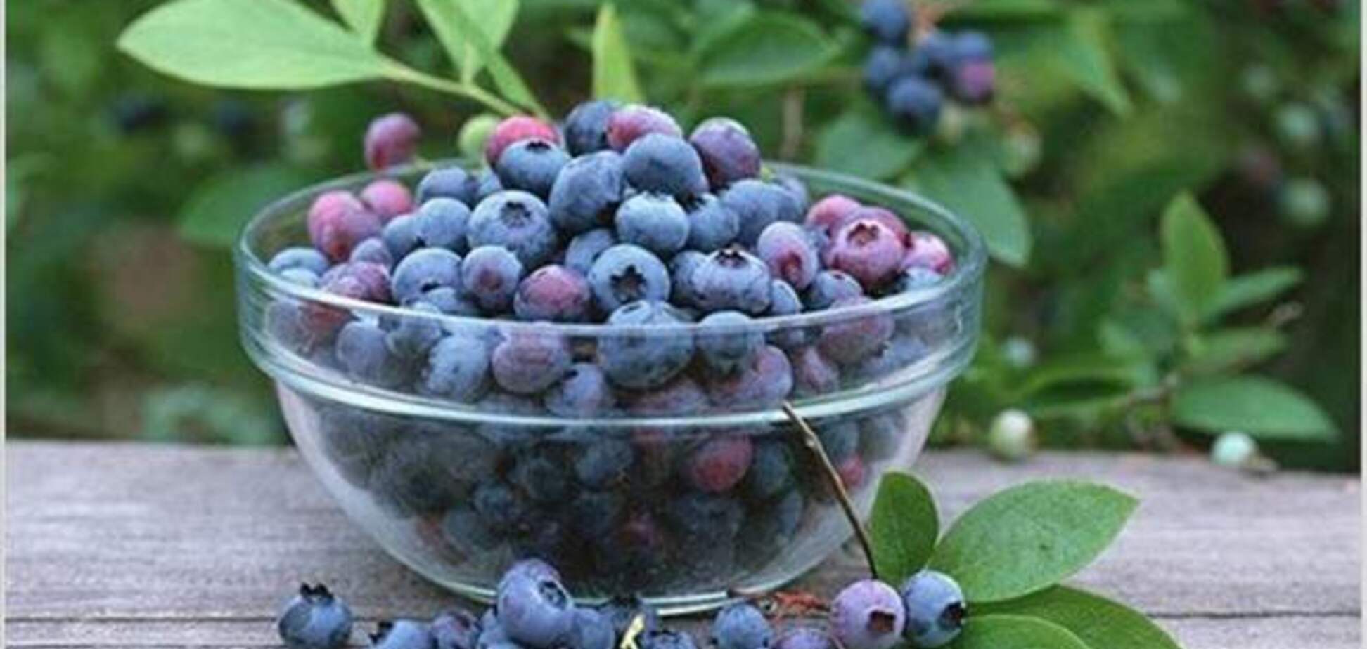 7 способов улучшить зрение без операций и очков