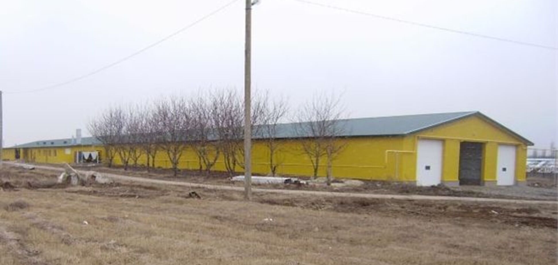 У Полтаві через птахофабрики стоїть нестерпний сморід