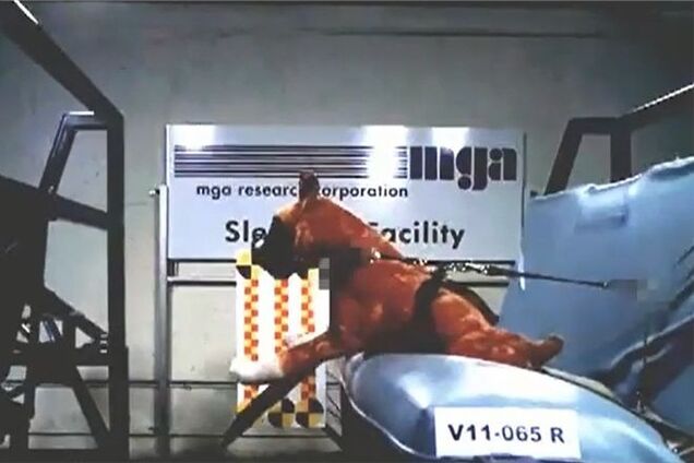 Subaru придумала краш-тесты для собак