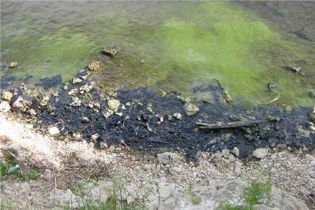 На Прикарпатті розслідують забруднення річки