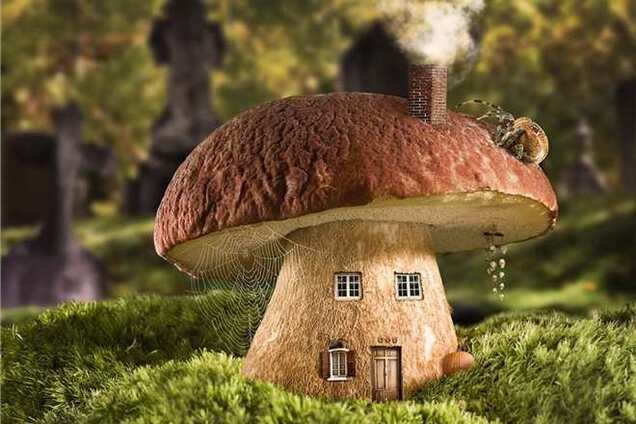 В Америке предложили строить жилые дома из грибов