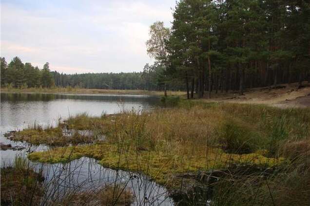 В Украине появится новый природный парк