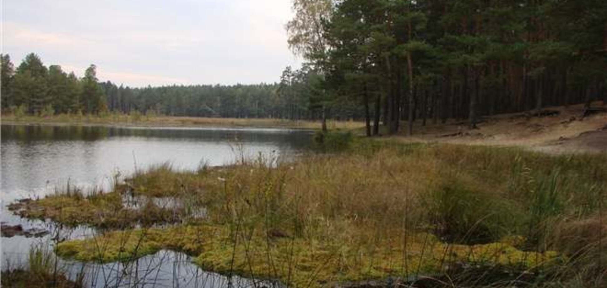 В Украине появится новый природный парк