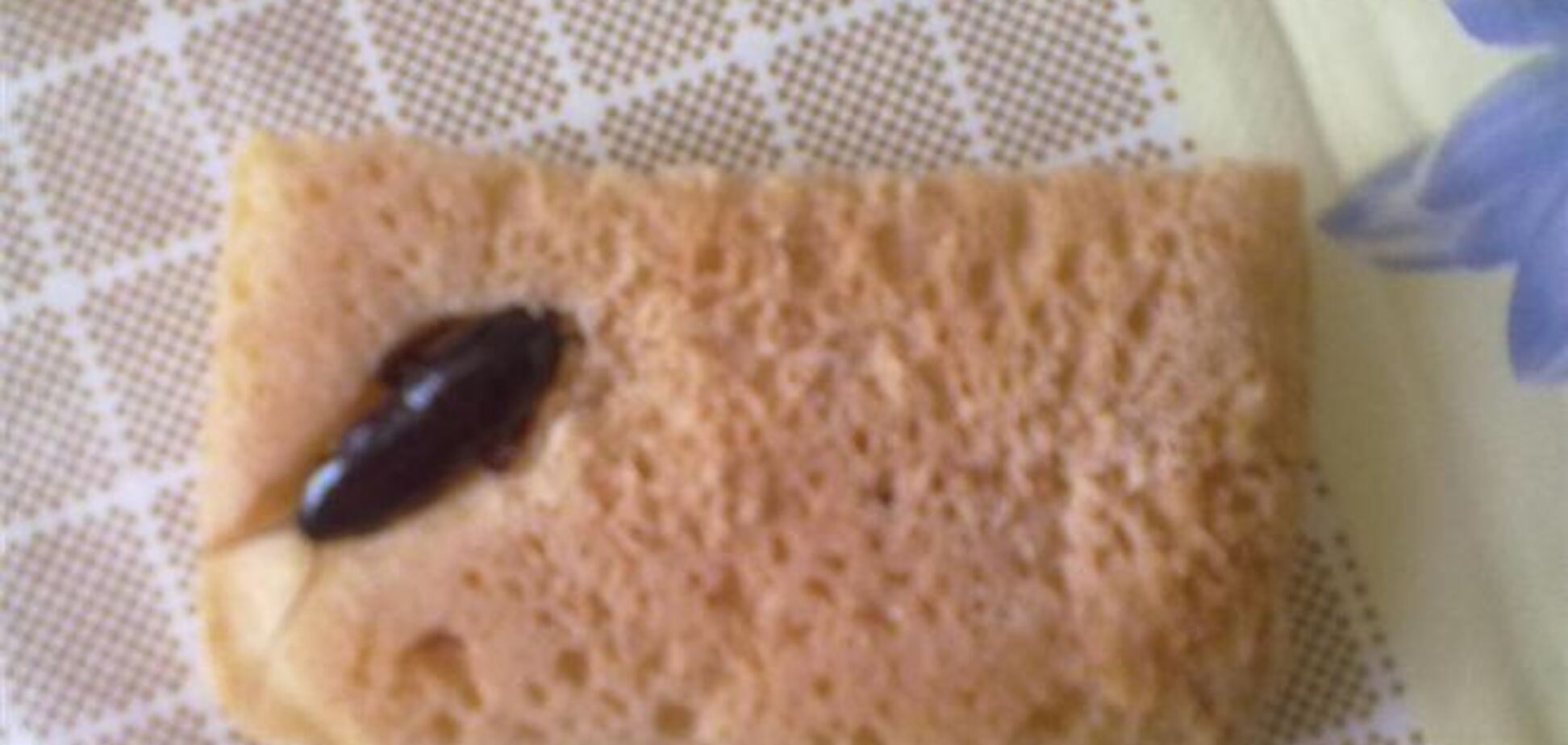 Мешканка Керчі купила хліб з тарганом