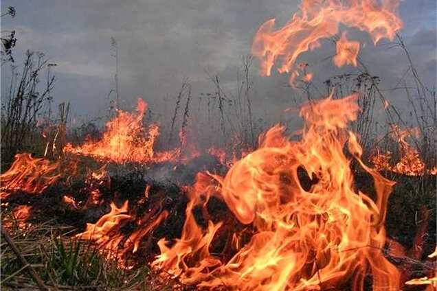 У Криму пожежа сталася біля хімзаводу