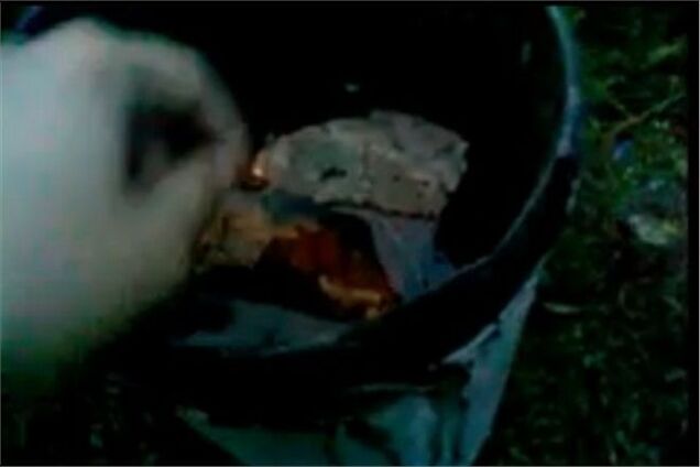 У Росії на хлопця завели справу за ролик про вбивство кошенят