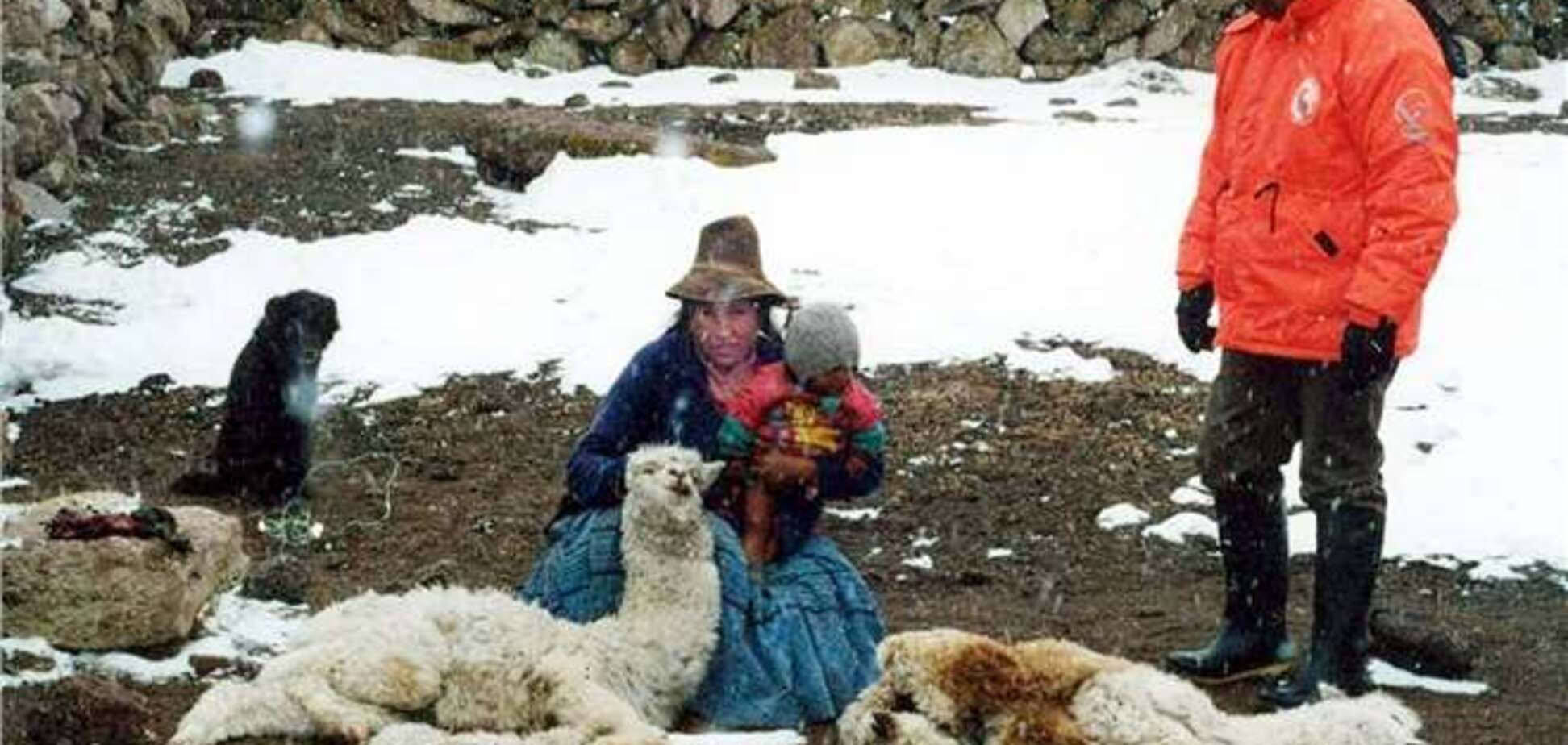 В южном Перу объявили ЧП из-за сильнейшего снегопада