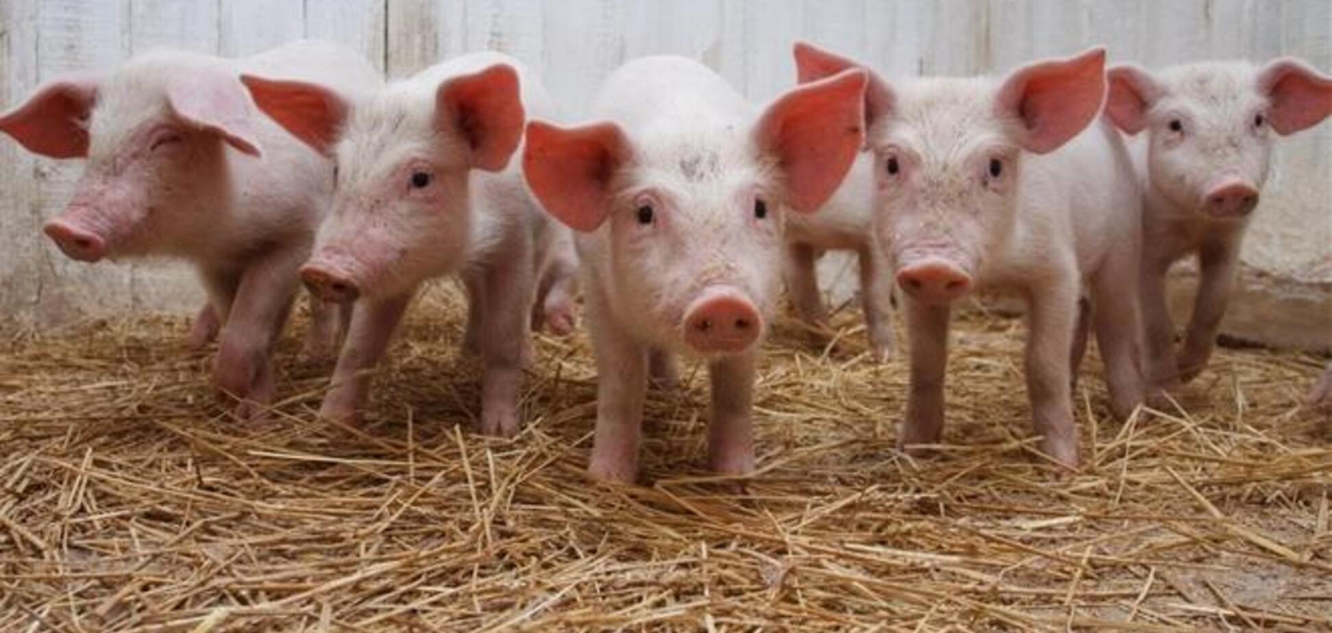 Украина усилит контроль на границе с Россией