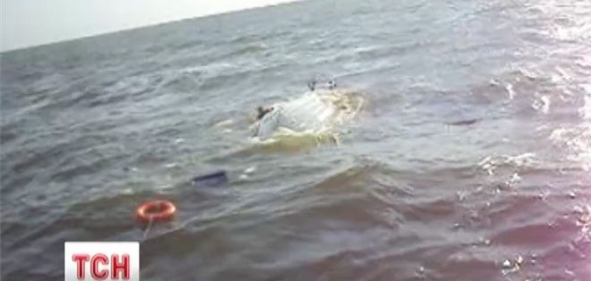 СМИ обнародовали видео инцидента на Азове