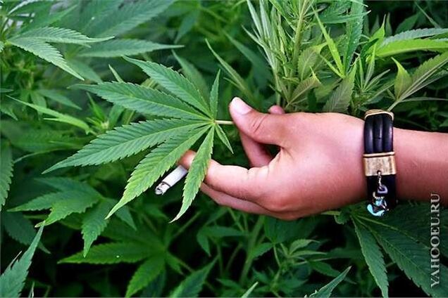 В Кабмине хотят легализовать наркотики в малых дозах