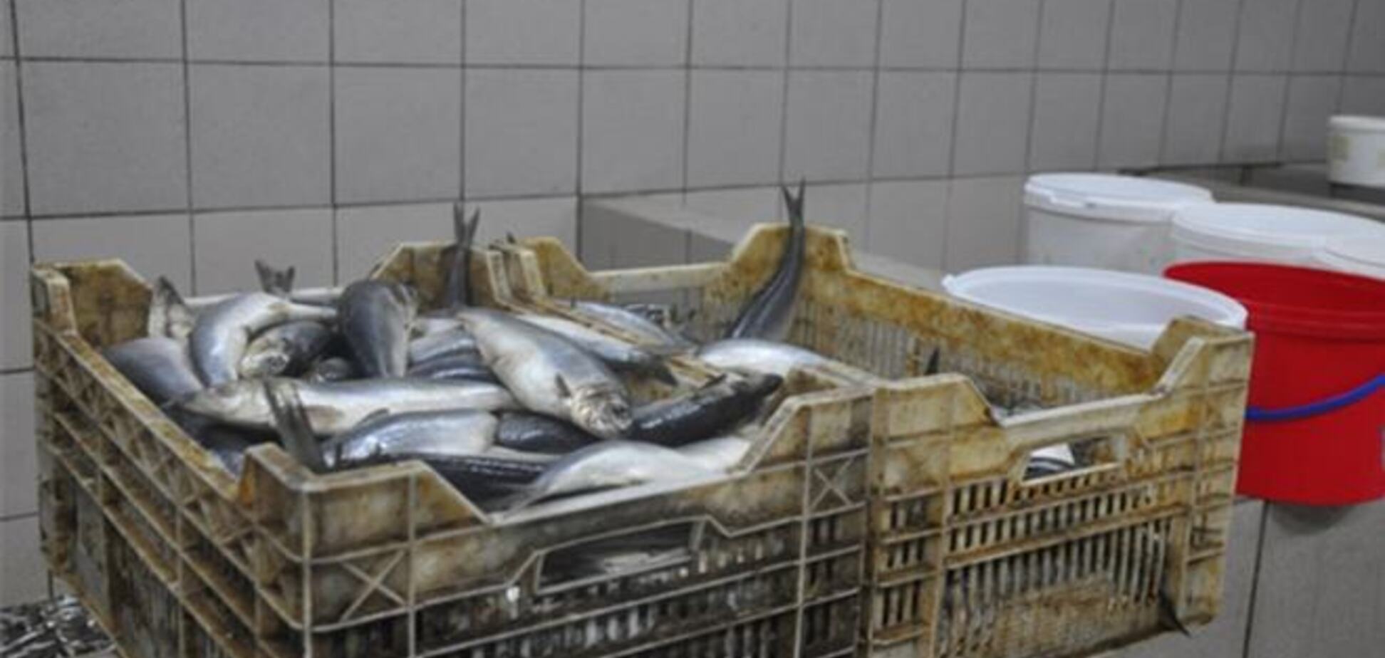 На Полтавщині викрили підпільний рибний цех