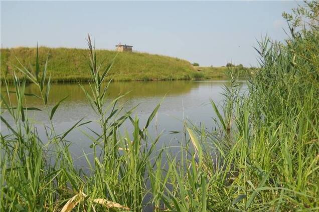 На Сумщині чоловік втопив 18-річну дівчину