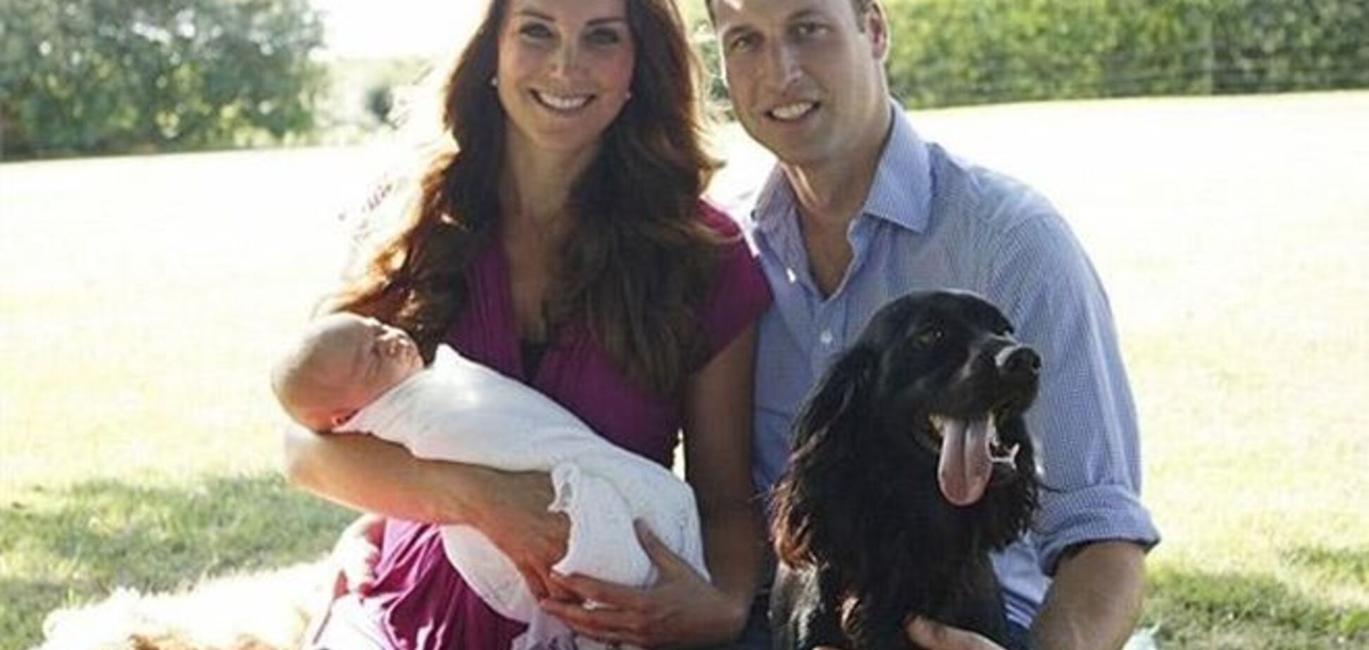 Отцовство принца Уильяма хотят проверить на ДНК