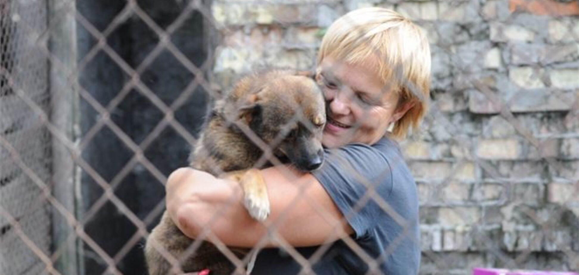 Приют для бездомных животных в селе Толокунь