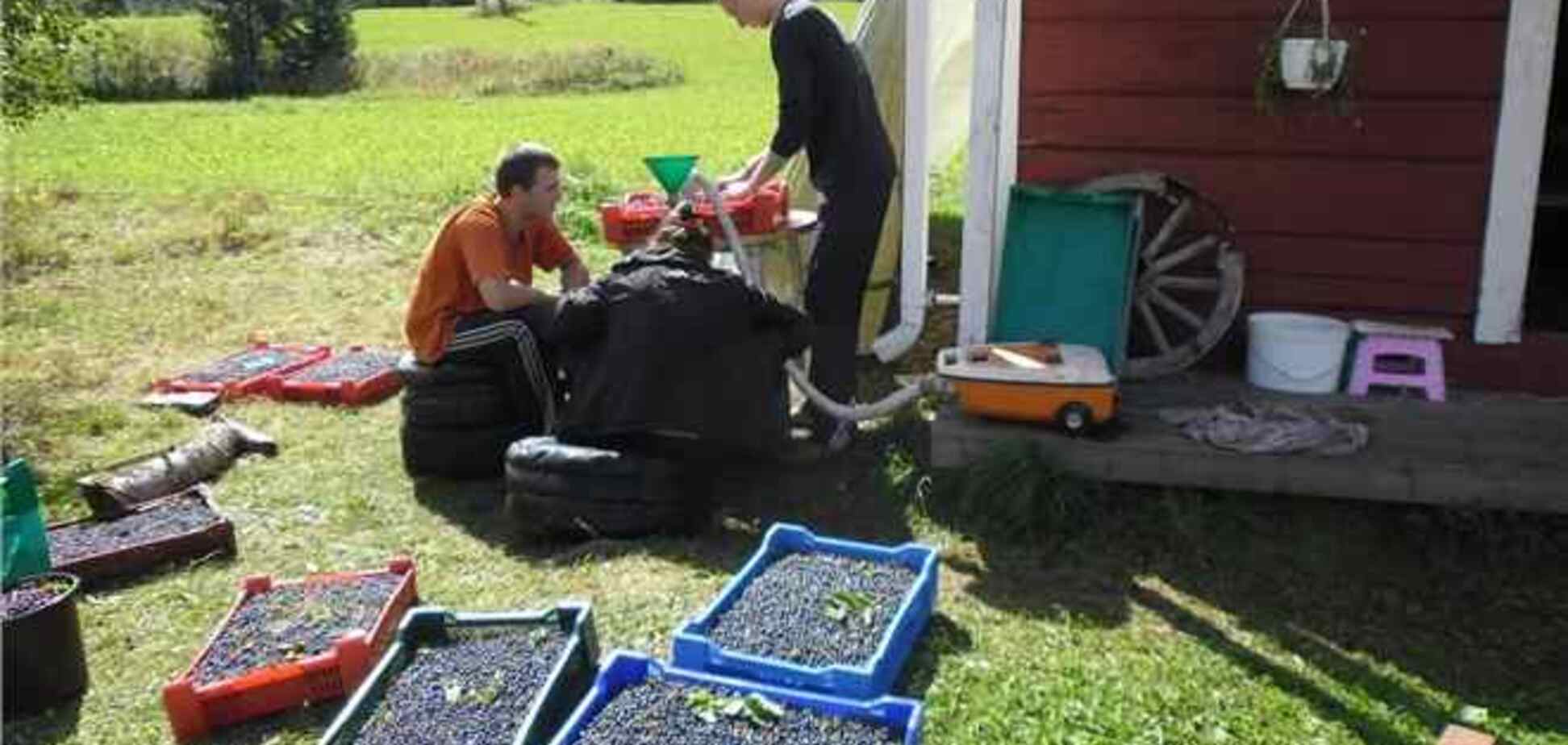 У Фінляндії застрягли 66 українців без засобів до існування