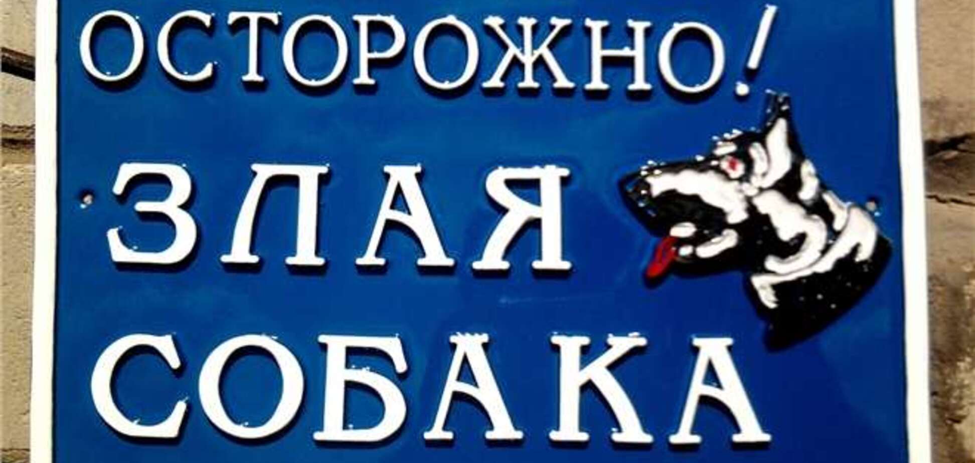 На Черкасщине сторожевые собаки загрызли ребенка
