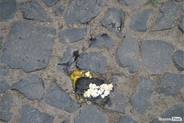 'Яєчний інцидент' у Луцьку: Польща визнала провину охорони Коморовського