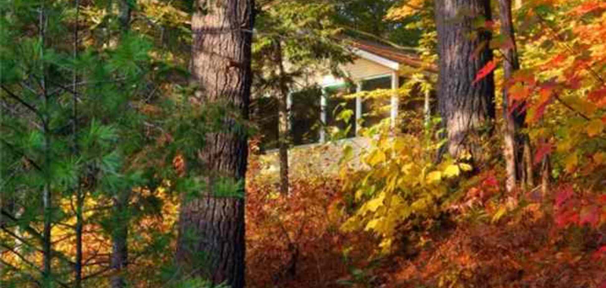 Самая дорогая сотка земли на Рублеве стоит $307 тыс.