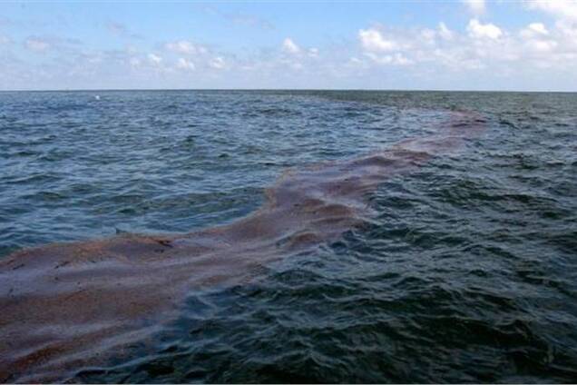 Судно, загрязнившее море под Одессой на 3 млн, арестовали
