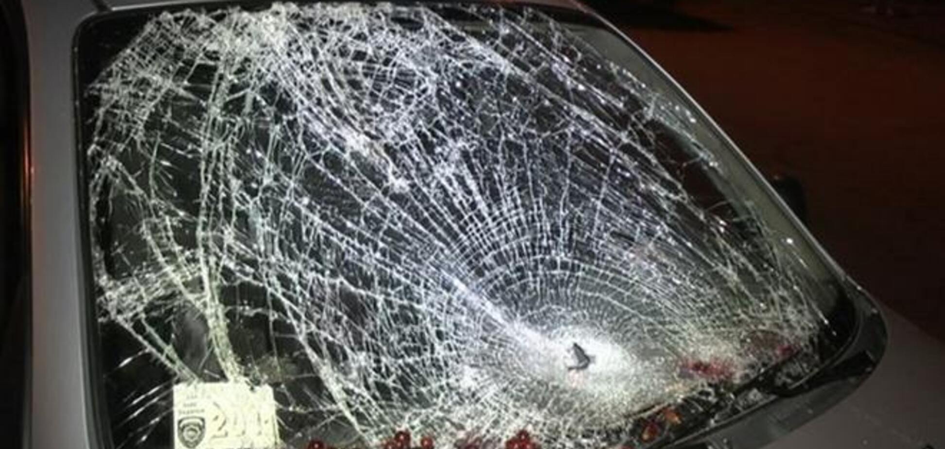 В Запорожье авто въехало в электроопору: трое жертв, пострадали дети