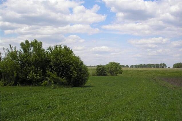 В столице разработали критерии для желающих бесплатно получить земельный участок