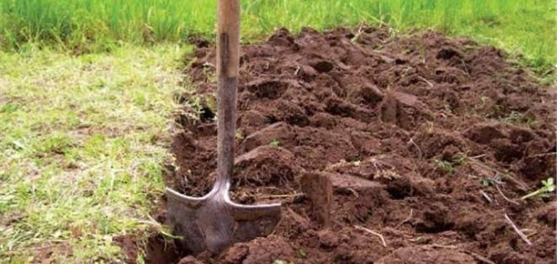 Румыния ограничит продажу земли иностранцам