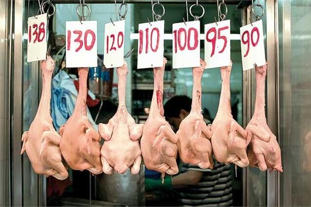 Тушками земля полнится…