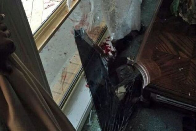 Двухметровый кенгуру устроил дебош в доме австралийца