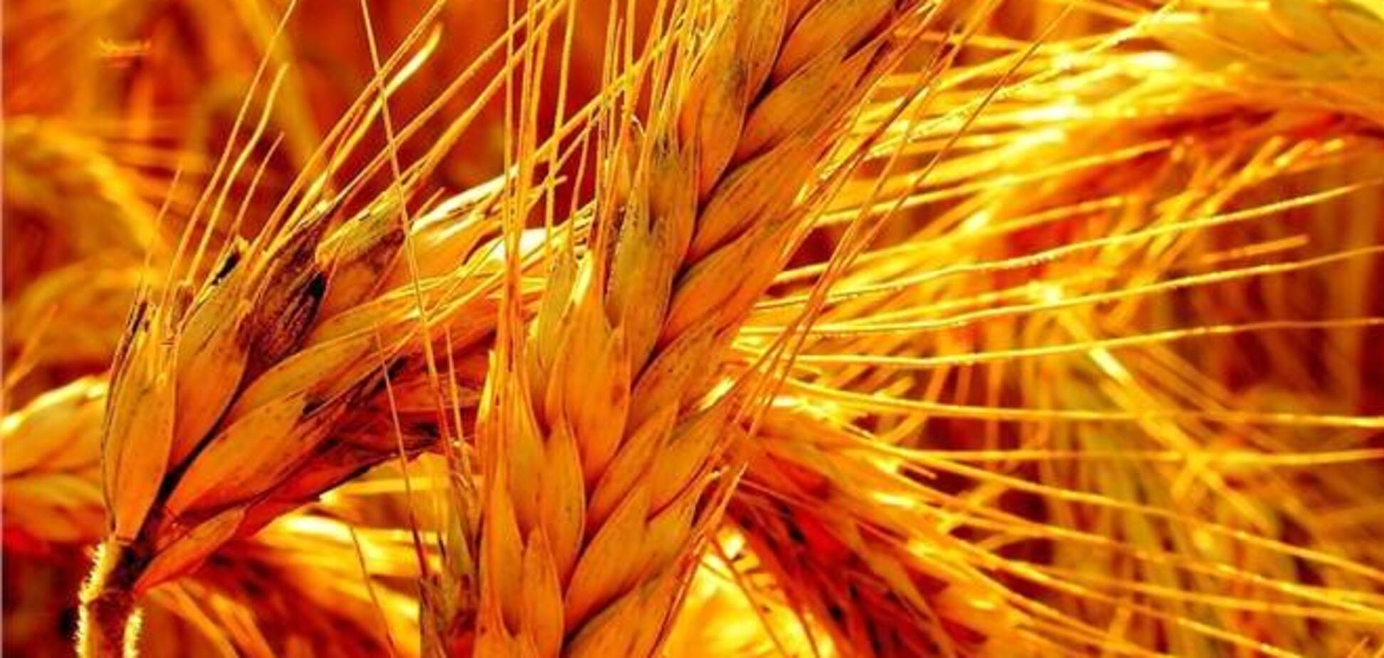 Арбузов: производство сельхозпродукции увеличилось на 6%