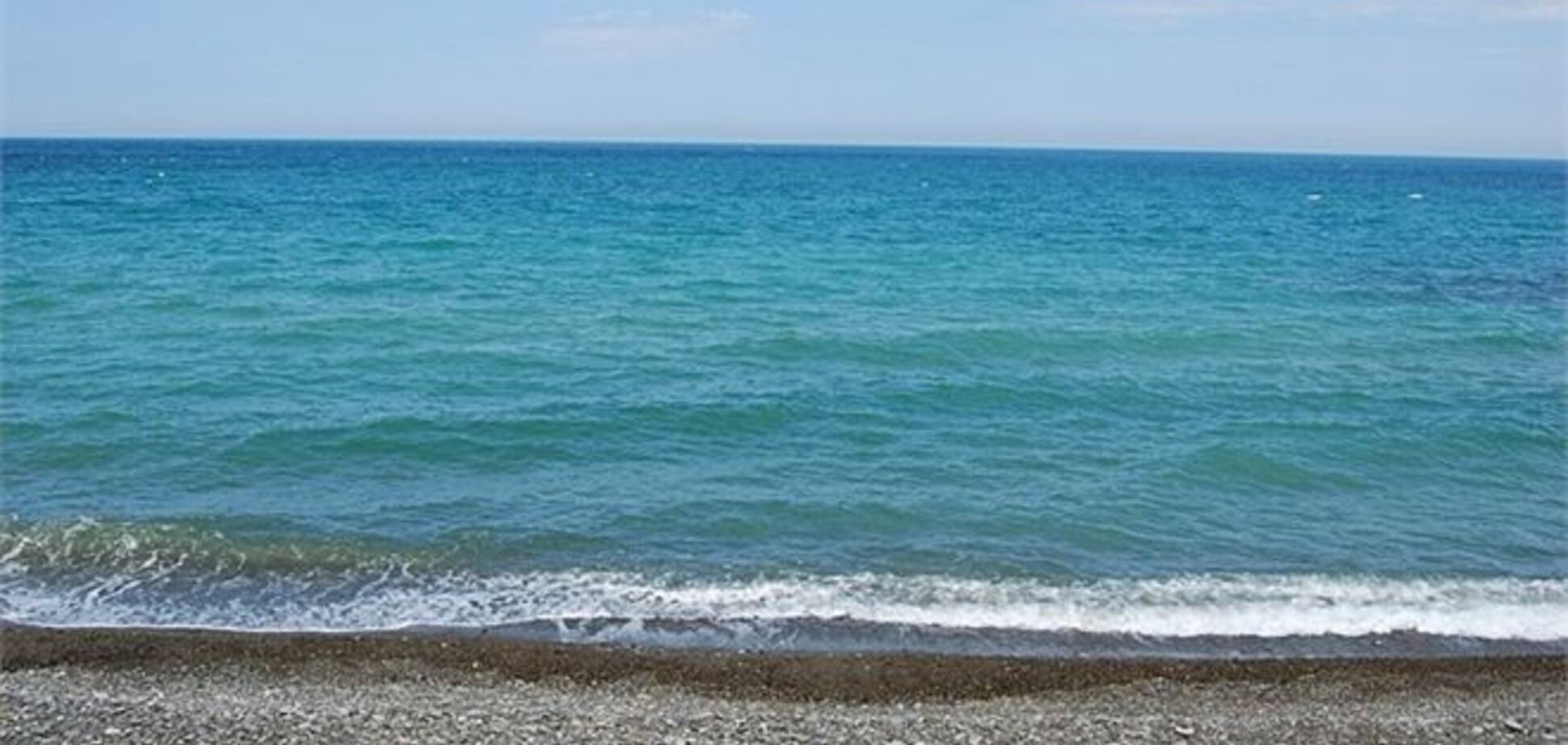 Українські моржі перепливуть Чорне море до Стамбула
