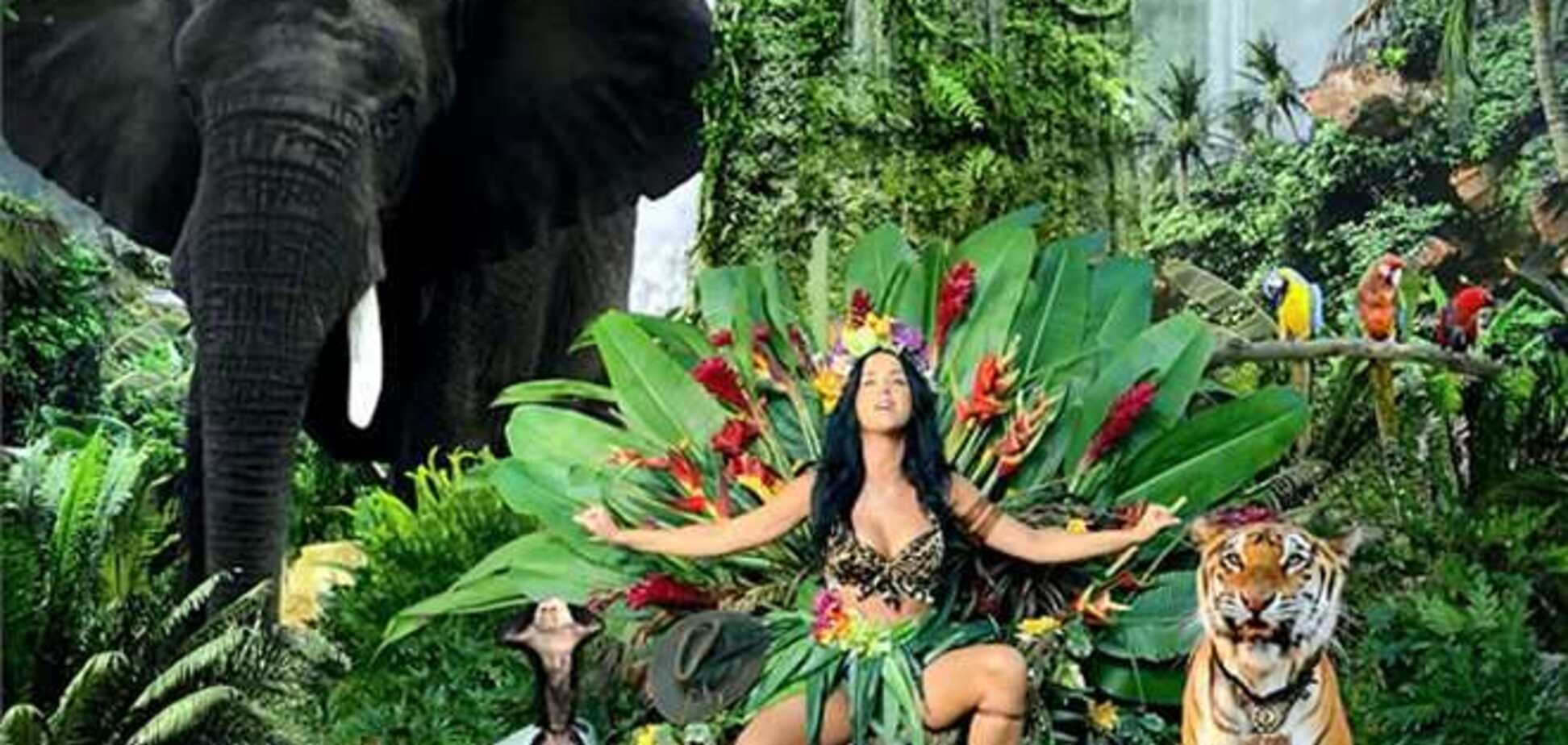 Защитники животных убеждены, что Кэти Перри травмировала психику тигра