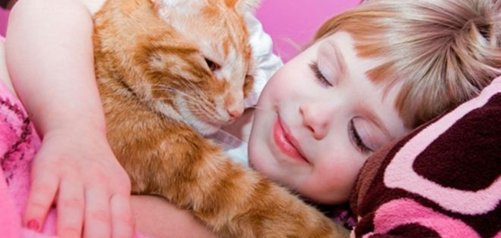 Рада запретила продажу животных детям