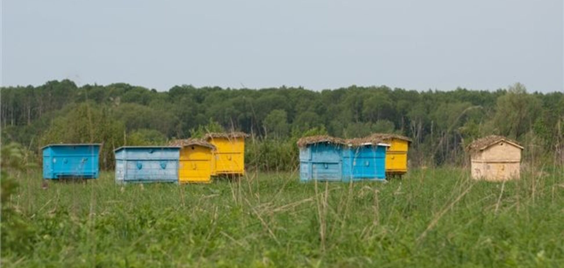 У Херсонській області на пасіці прогримів вибух: є жертви