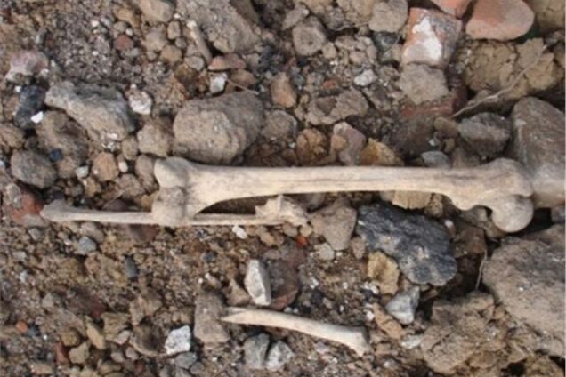 В Харьковской области на ж/д станции нашли человеческие останки