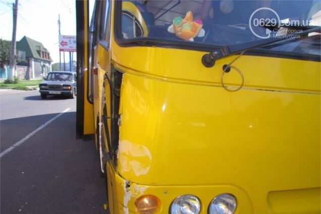 В Симферополе лошадь врезалась в маршрутку