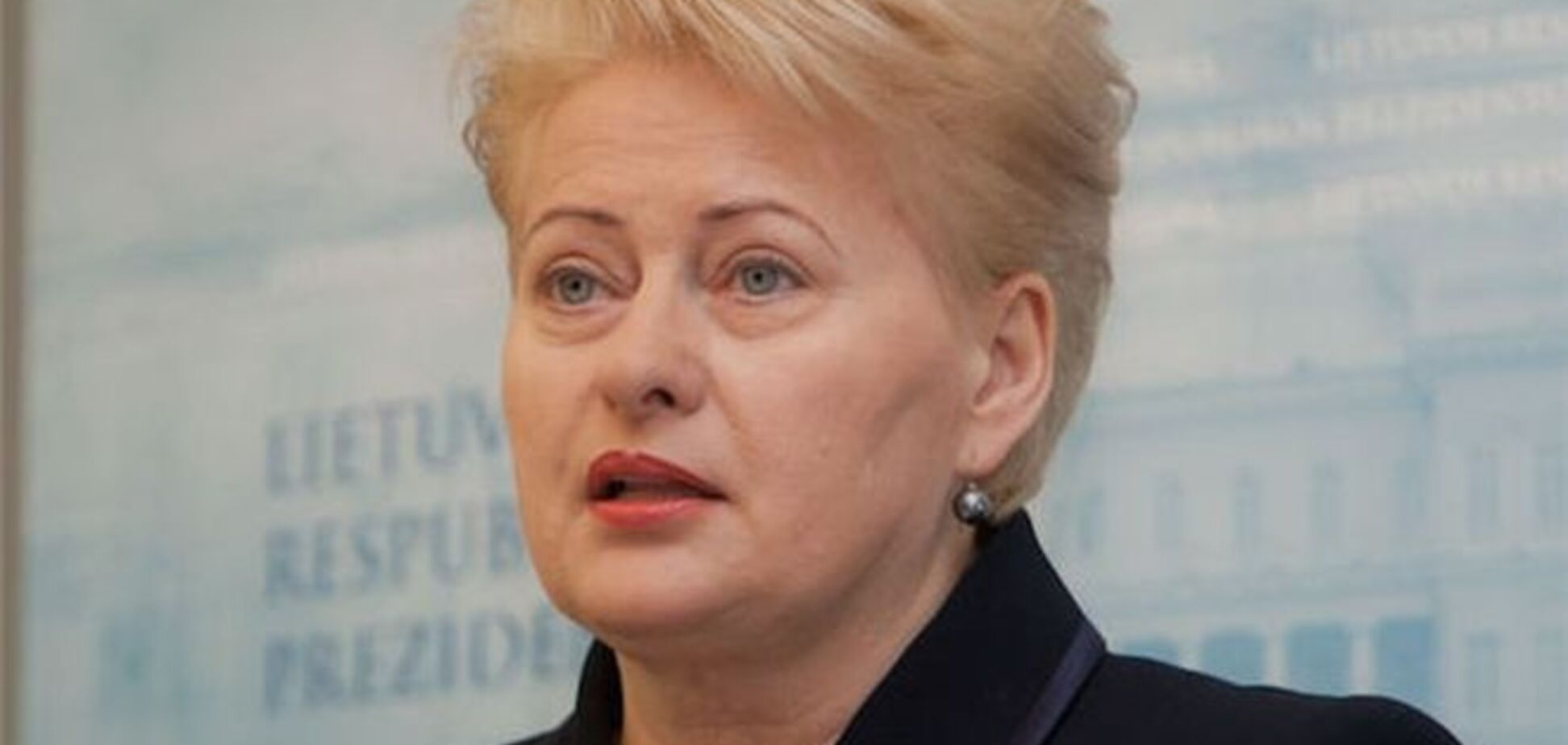 Президент Литвы: без освобождения Тимошенко ассоциации с ЕС не будет