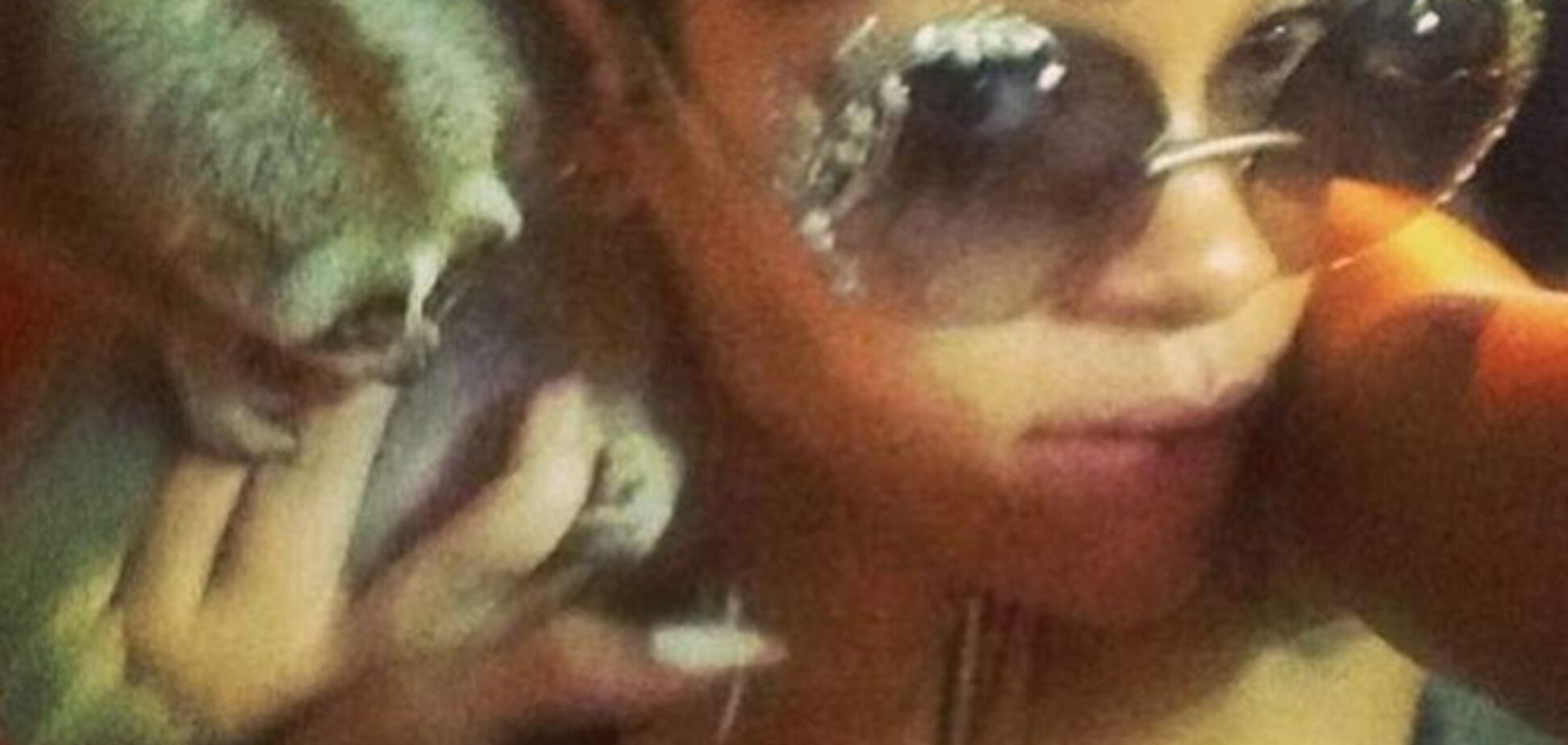 Рианна помогла схватить торговцев редкими животными