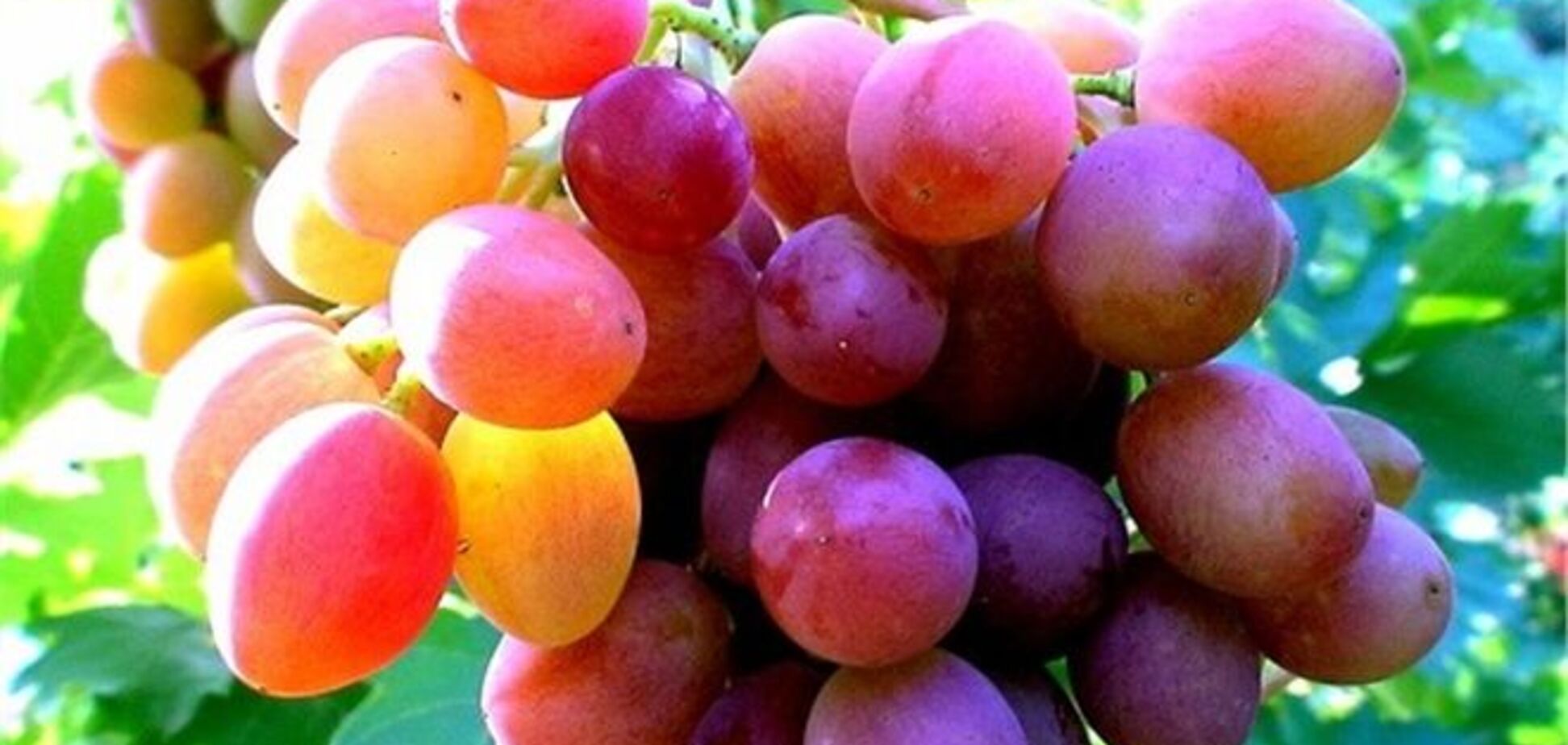 3 недорогие средства, замедляющие старение кожи