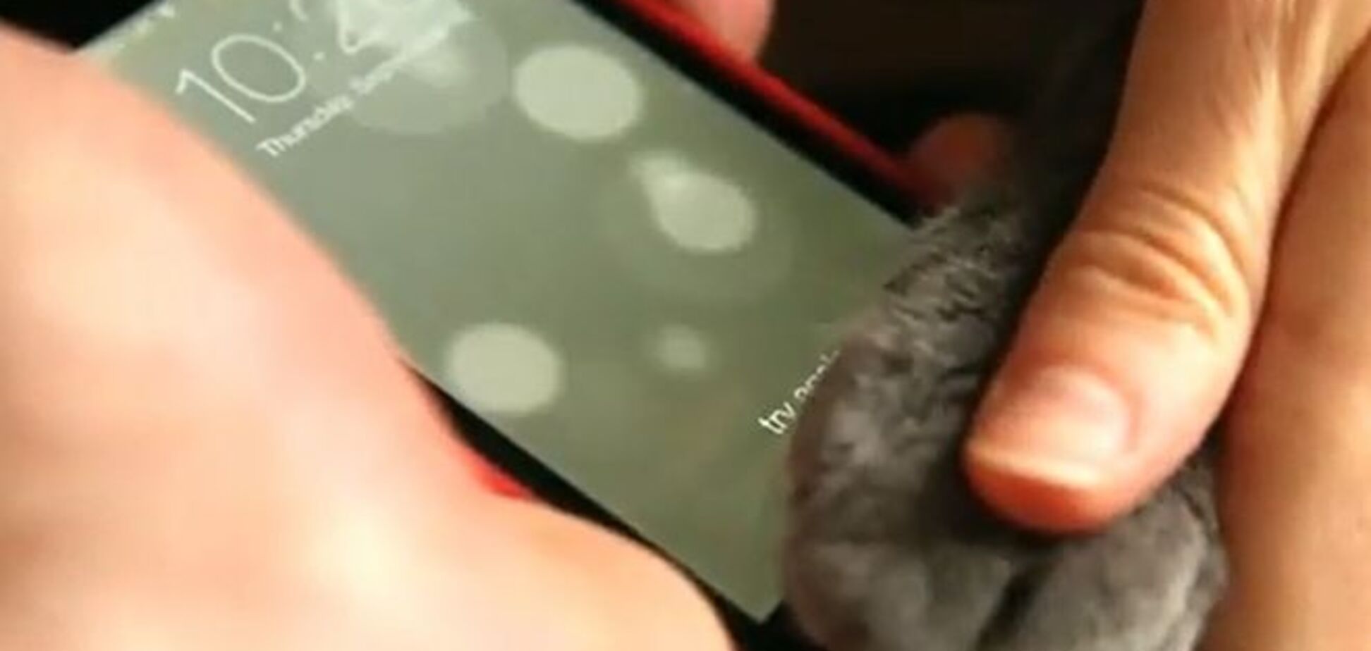 iPhone 5S можно разблокировать носом и кошачьей лапой