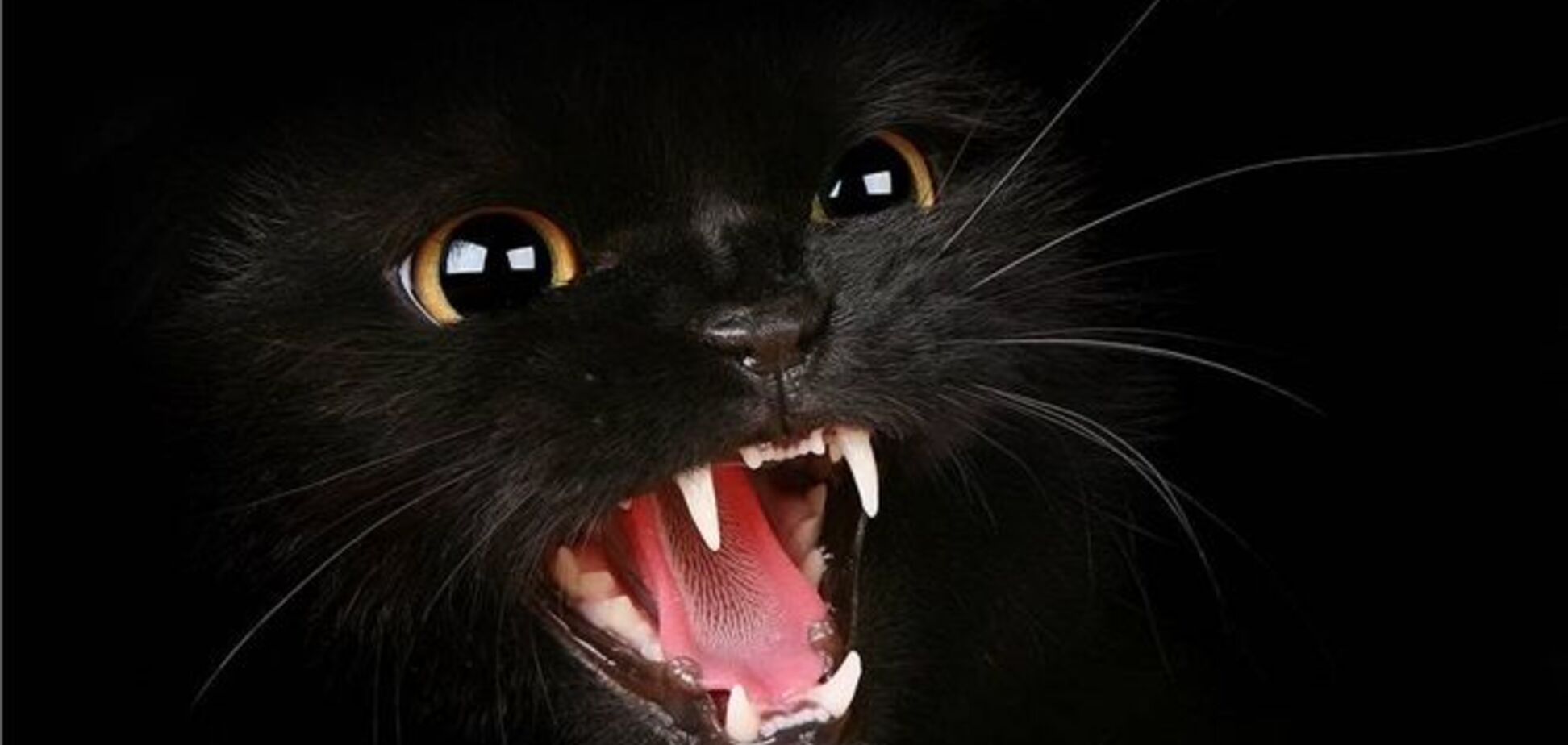 Суеверия, которых боятся покупатели недвижимости