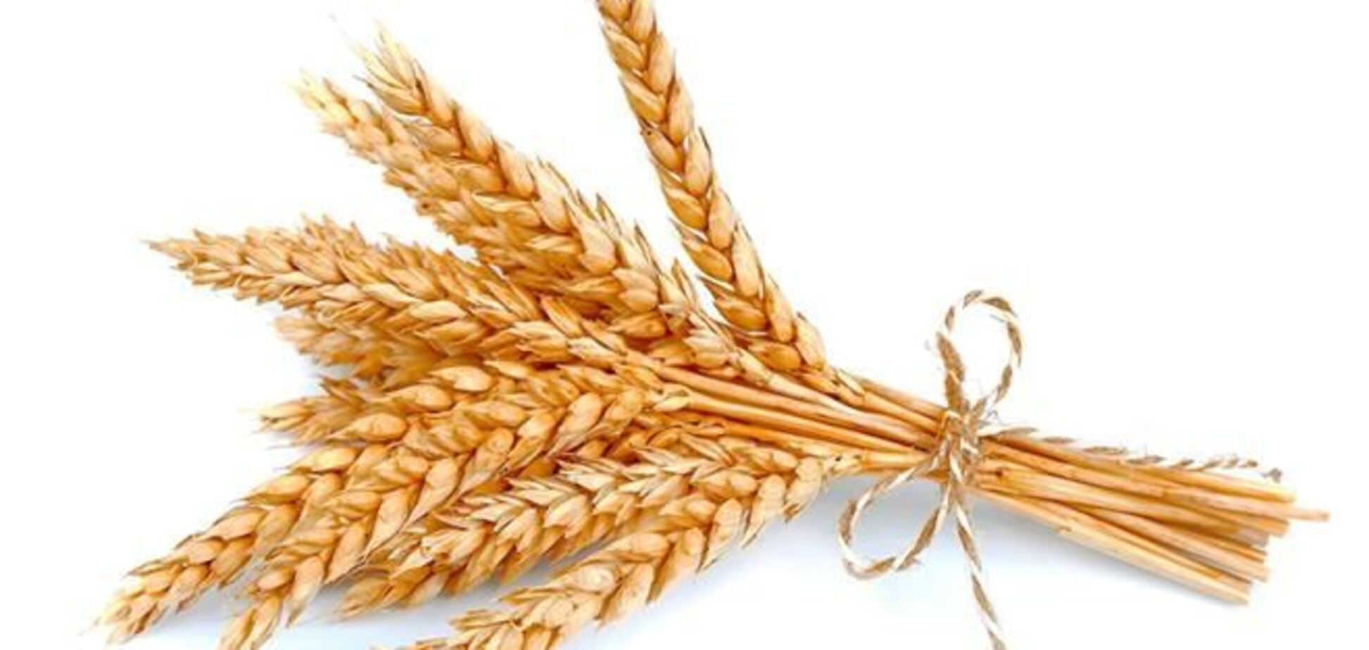Украина, Казахстан и РФ создадут зерновой пул на 70 млн тонн зерна