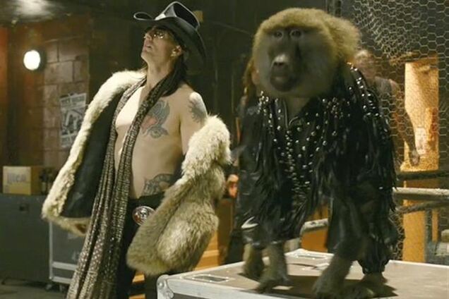 Звездный бабуин потрогал ведущую за грудь в прямом эфире