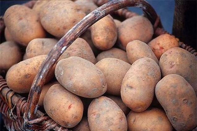 Азаров: дефицит картофеля отменяется