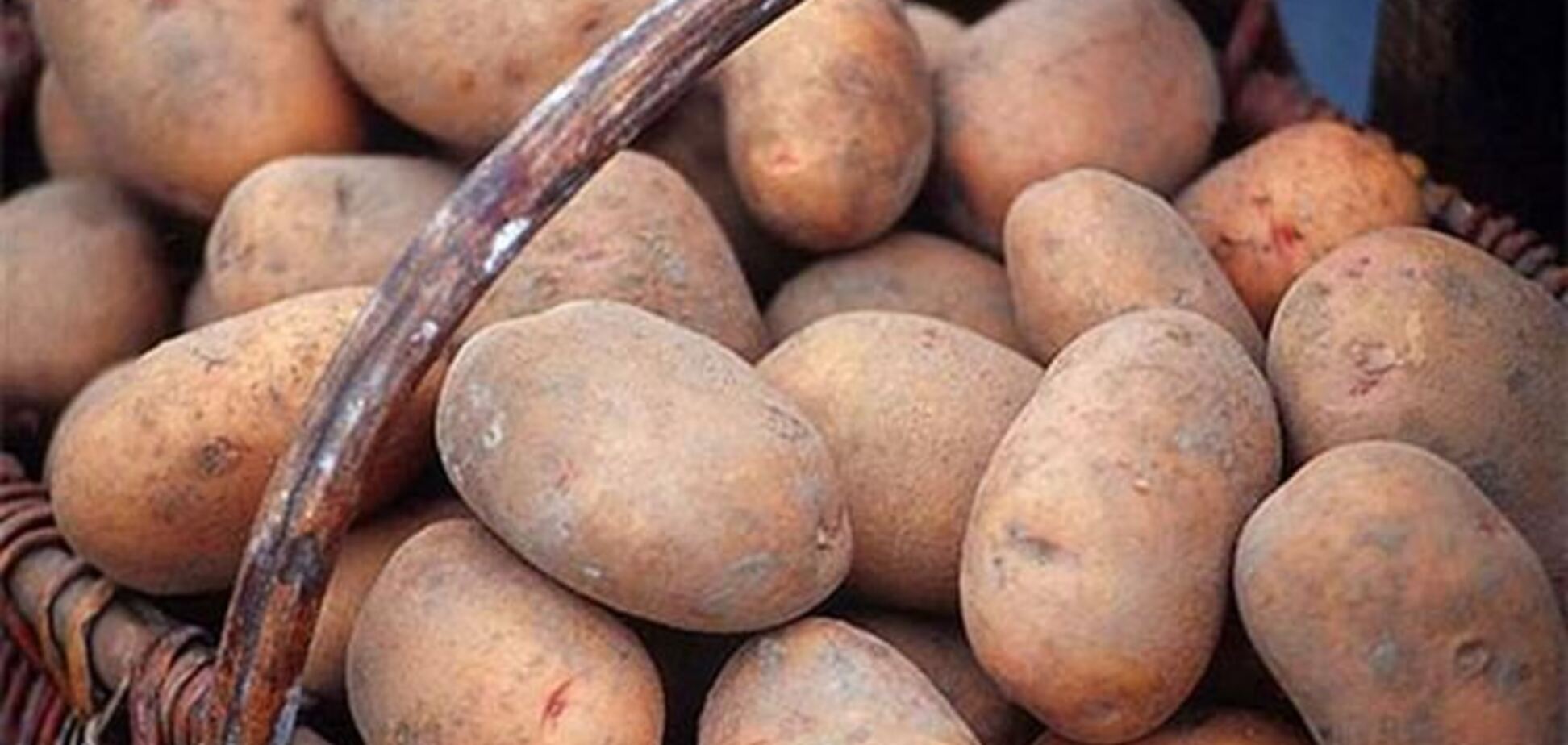 Азаров: дефицит картофеля отменяется