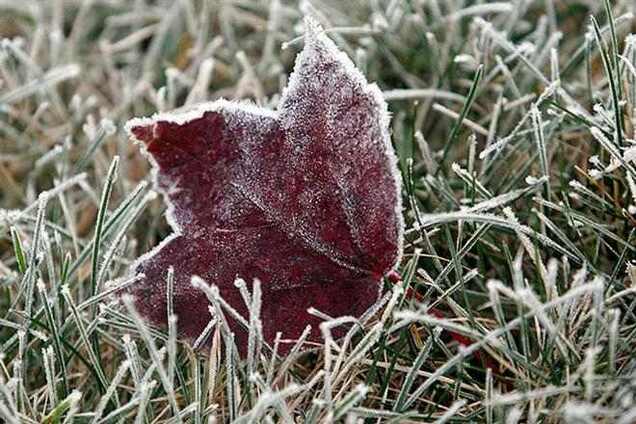 В выходные в Украину придут заморозки